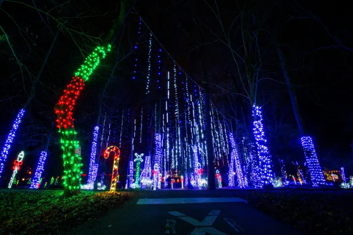 a traffic light is lit up at night