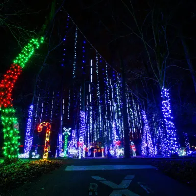 a traffic light is lit up at night