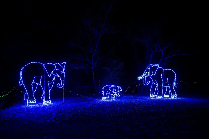 a group of people in a dark room