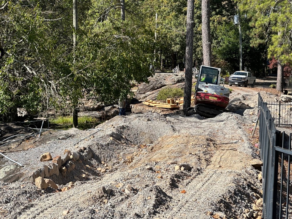 a car parked on pavement near a forest