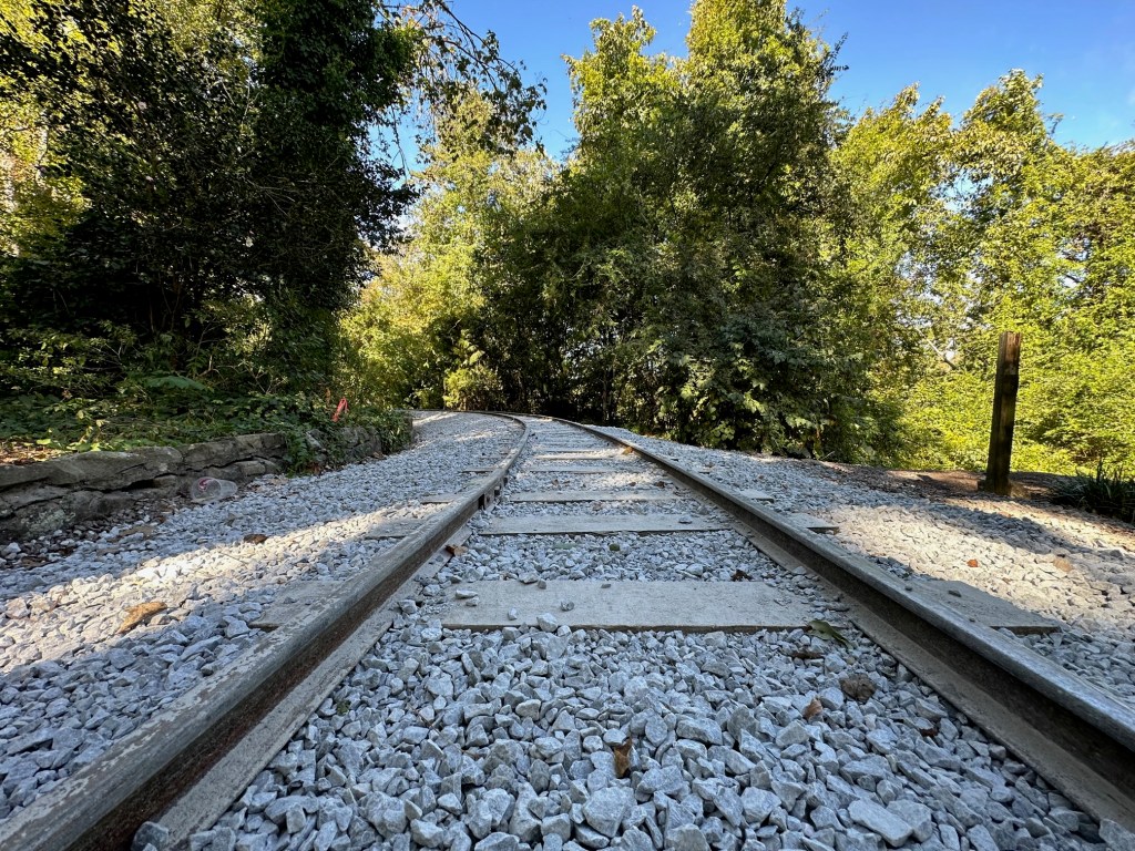 a train traveling down train tracks next to a tree